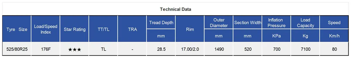TIANLI TUE110 Radial OTR Tyre